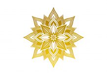 パーフェクトな健康・強さ・美を目指すあなたへ。軟骨成分+筋肉成分+美容成分+エナジー成分。「SNOW LOTUS」 パーフェクトな健康・強さ・美を目指すあなたへ。軟骨成分+筋肉成分+美容成分+エナジー成分。「SNOW LOTUS」