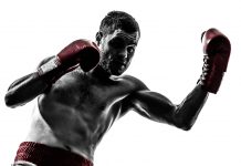 ファイターズスピリッツのハイエンドモデルFIGHTERS SPIRITSプロ仕様ボクシンググローブ