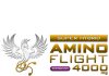 格闘技用品店ファイターズスピリッツはAMINO FLIGHTの取り扱いを開始しました。