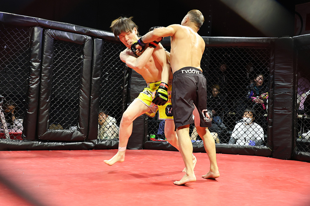 2026年2月8日WARDOG CAGE FIGHT 55