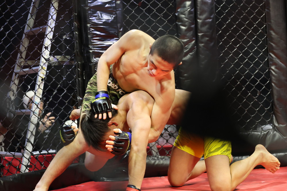 2026年2月8日WARDOG CAGE FIGHT 55