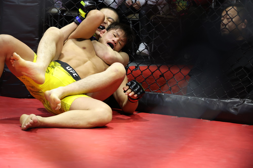 2026年2月8日WARDOG CAGE FIGHT 55