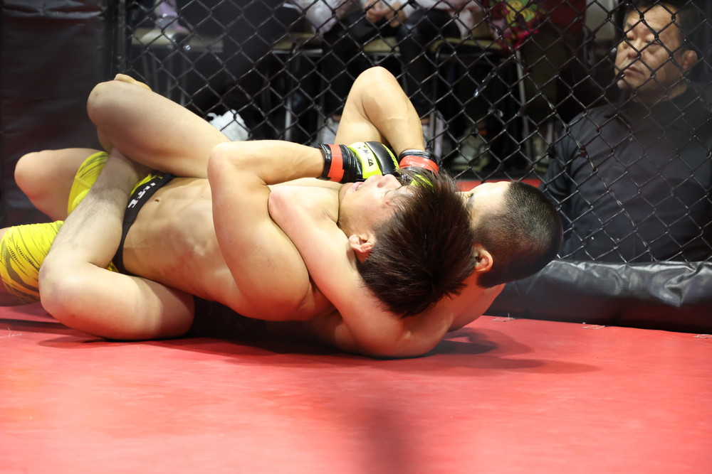 2026年2月8日WARDOG CAGE FIGHT 55