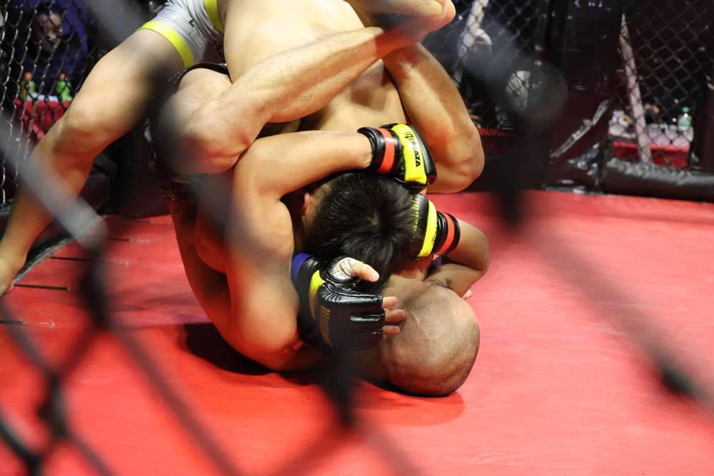 2026年2月8日WARDOG CAGE FIGHT 55