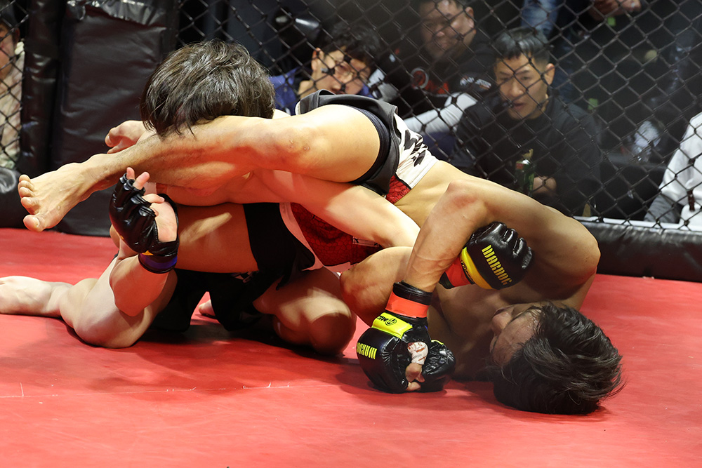 2026年2月8日WARDOG CAGE FIGHT 55