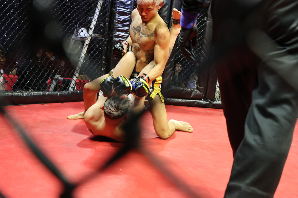 2026年2月8日WARDOG CAGE FIGHT 55