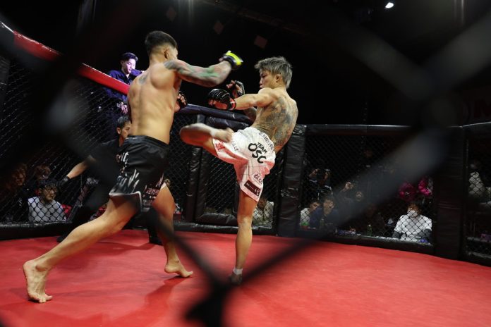 2026年2月8日WARDOG CAGE FIGHT 55